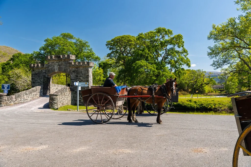 A couple of Jarveys sitting in their carts and horses waiting by the entrance bridge of the cottage
