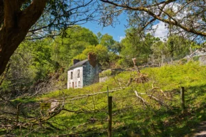 The old house within Lord Brandons Cottage, now empty and derelict