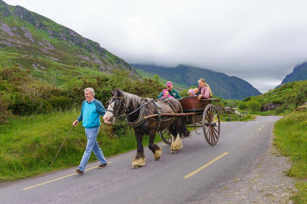 Gap of Dunloe pony and family on Fathers Day A733096 Dave Ryan Media